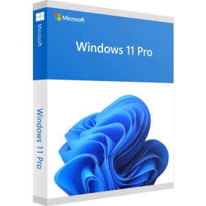 Операційна система Microsoft Windows 11 Pro 64Bit Eng Intl 1pk DSP OEI DVD (FQC-10528)